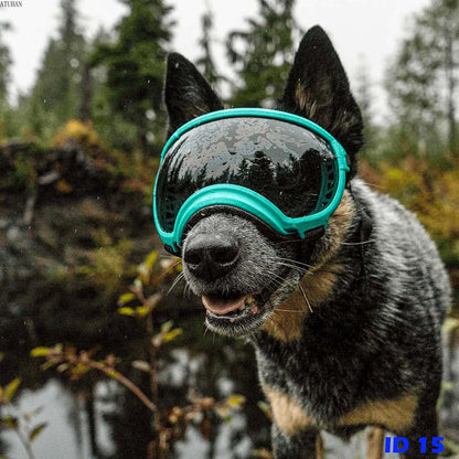 F1 Dog Goggles