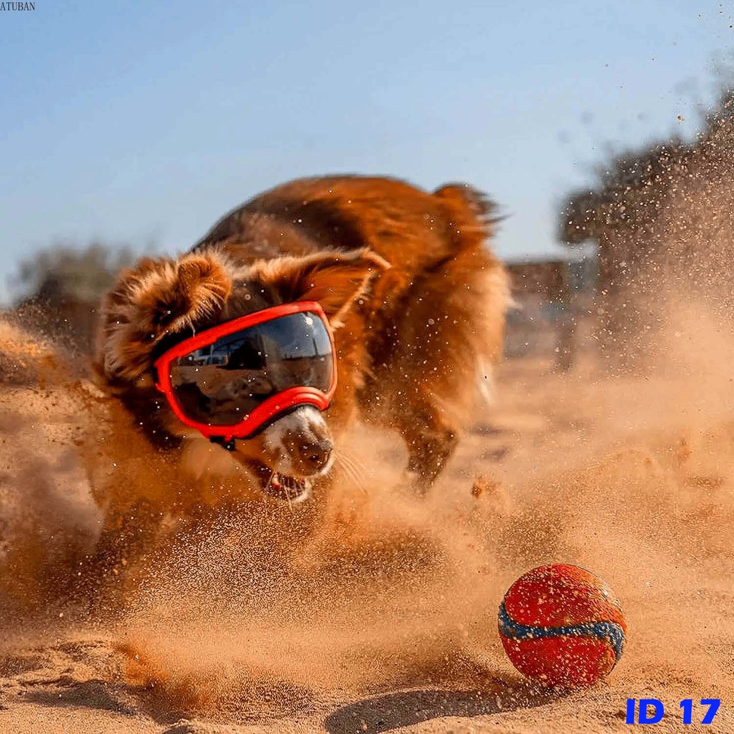 F1 Dog Goggles