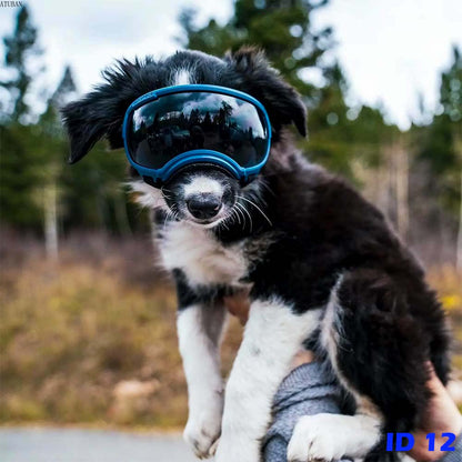 F1 Dog Goggles