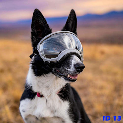 F1 Dog Goggles