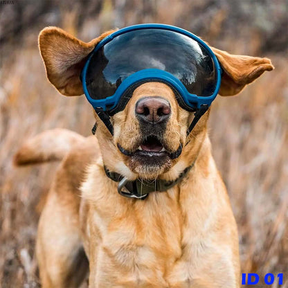 F1 Dog Goggles