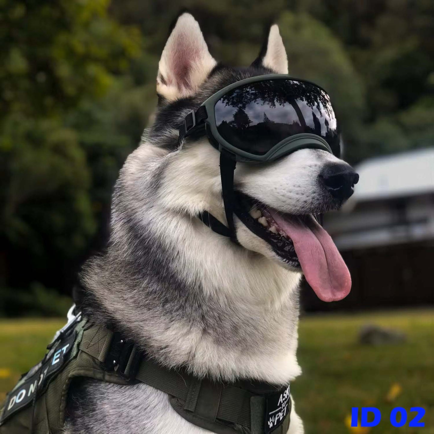 F1 Dog Goggles